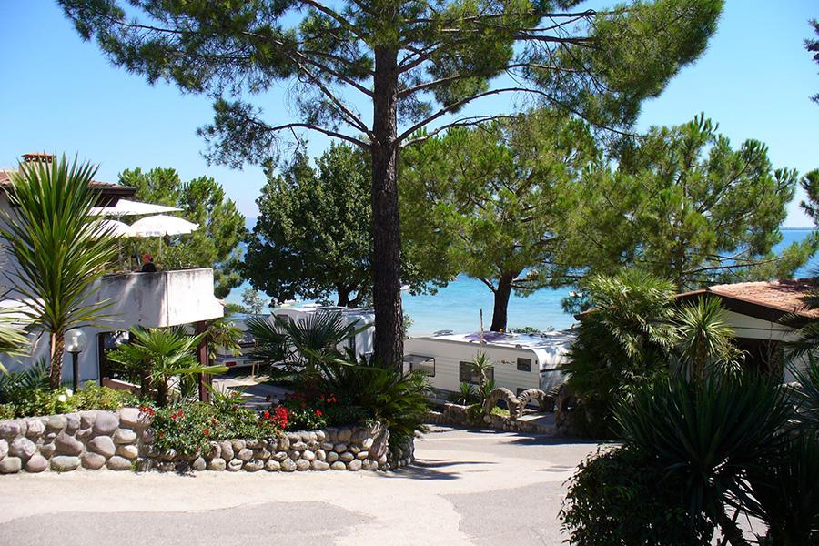 Kleiner Campingplatz Gardasee Mit Hund